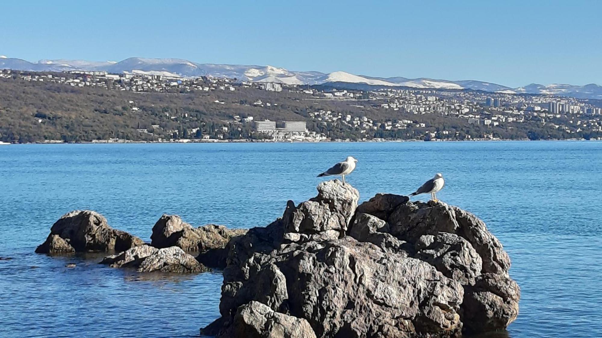 Apartman Dora Opatija Exteriér fotografie